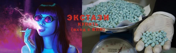крисы Новозыбков