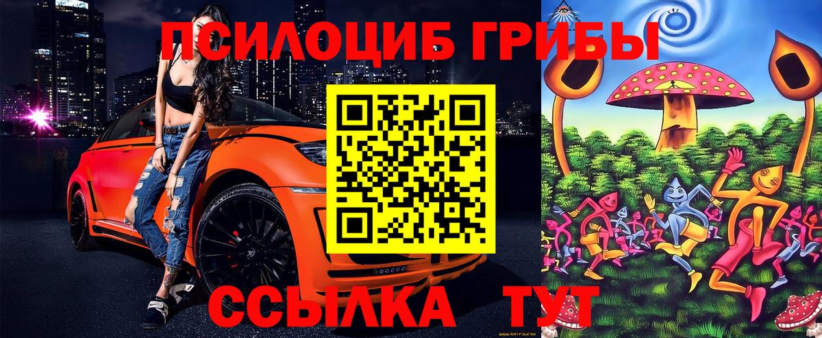 Кольчугино  Галлюциногенные грибы GOLDEN TEACHER  Вход с VPN 