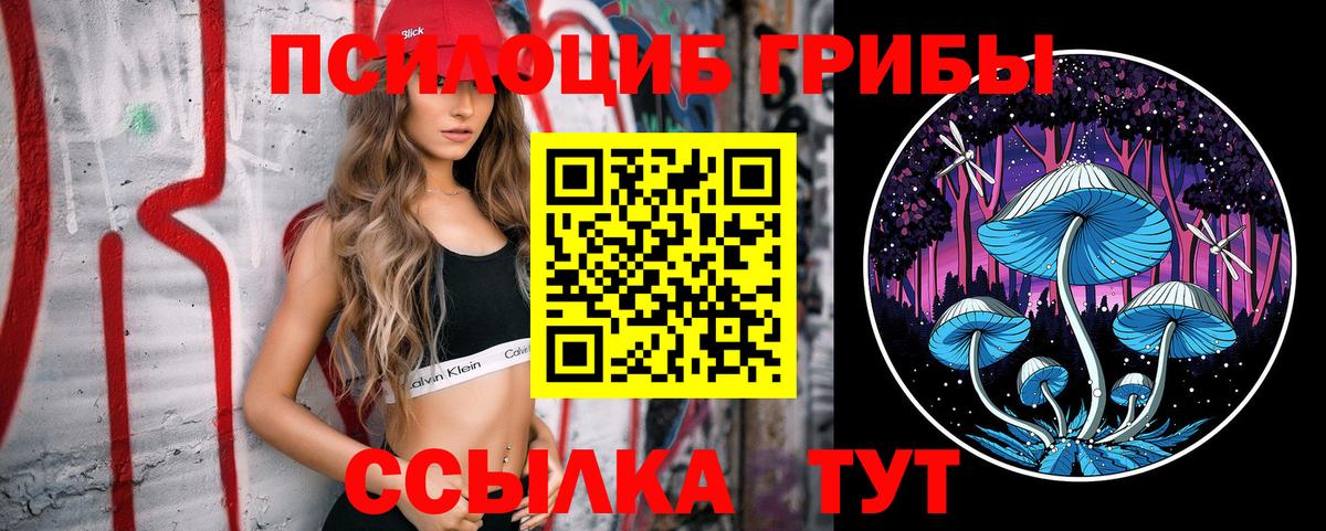 ГАШИШ Кольчугино