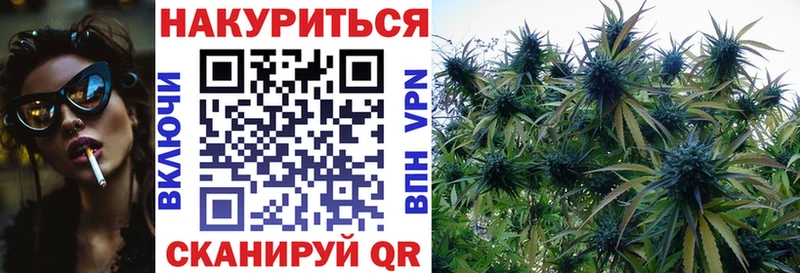 hydra онион  магазин    Кольчугино  Канабис планчик 